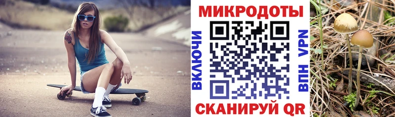 Купить закладки  Партизанск  Псилоцибиновые грибы прущие грибы 