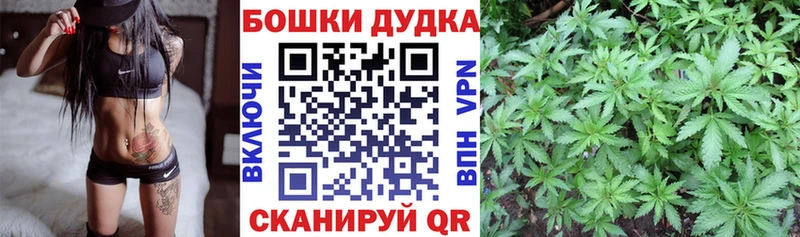 Конопля Amnesia  Купить закладки  Партизанск 